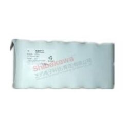 802.821 Pin sạc NiMH 40RM225 SAFT